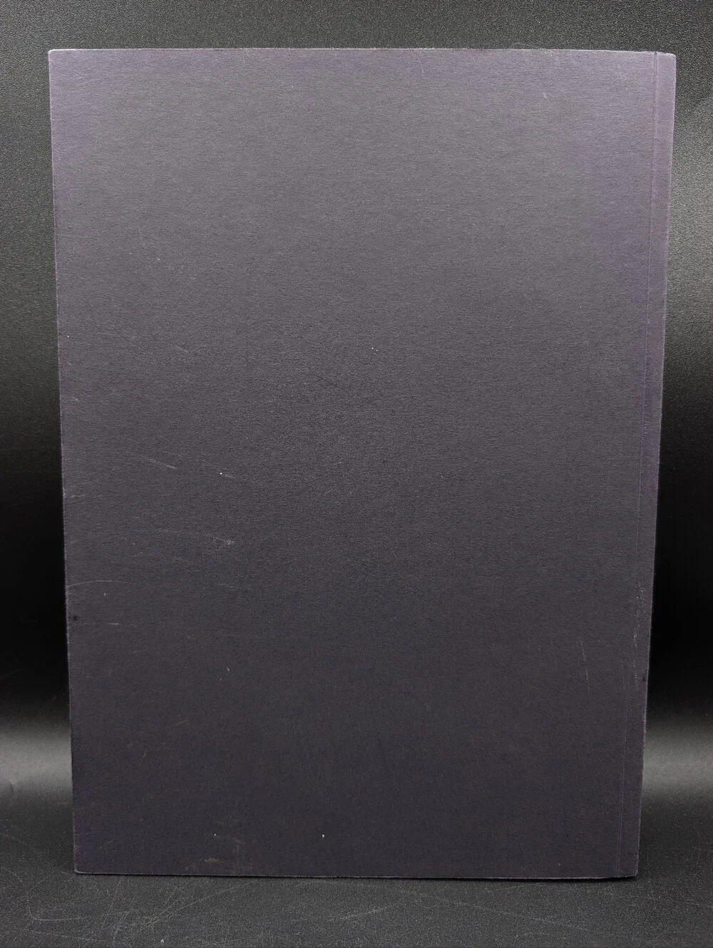 Waist Down; Skirts by Miuccia Prada. 1st Edition, 2004